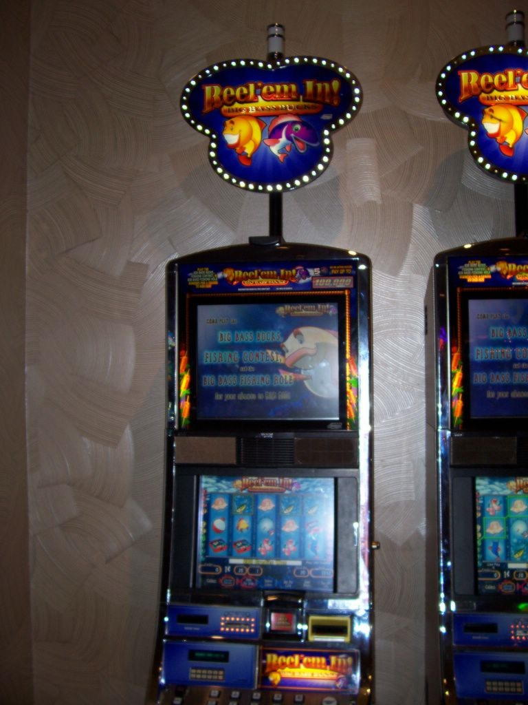 525% Casino match bonus at Royal Panda Casino