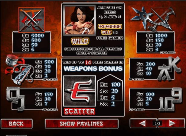 Eur 800 Daily freeroll slot tournament at Spinrider Casino