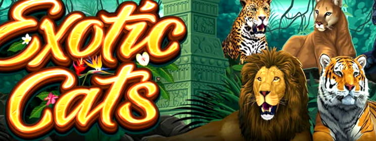10 Free spins no deposit at Buran Casino