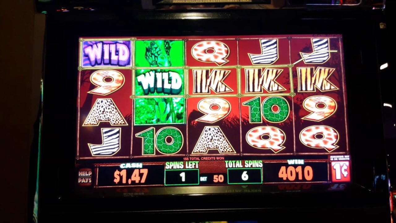 265% No Rules Bonus! at Royal Panda Casino