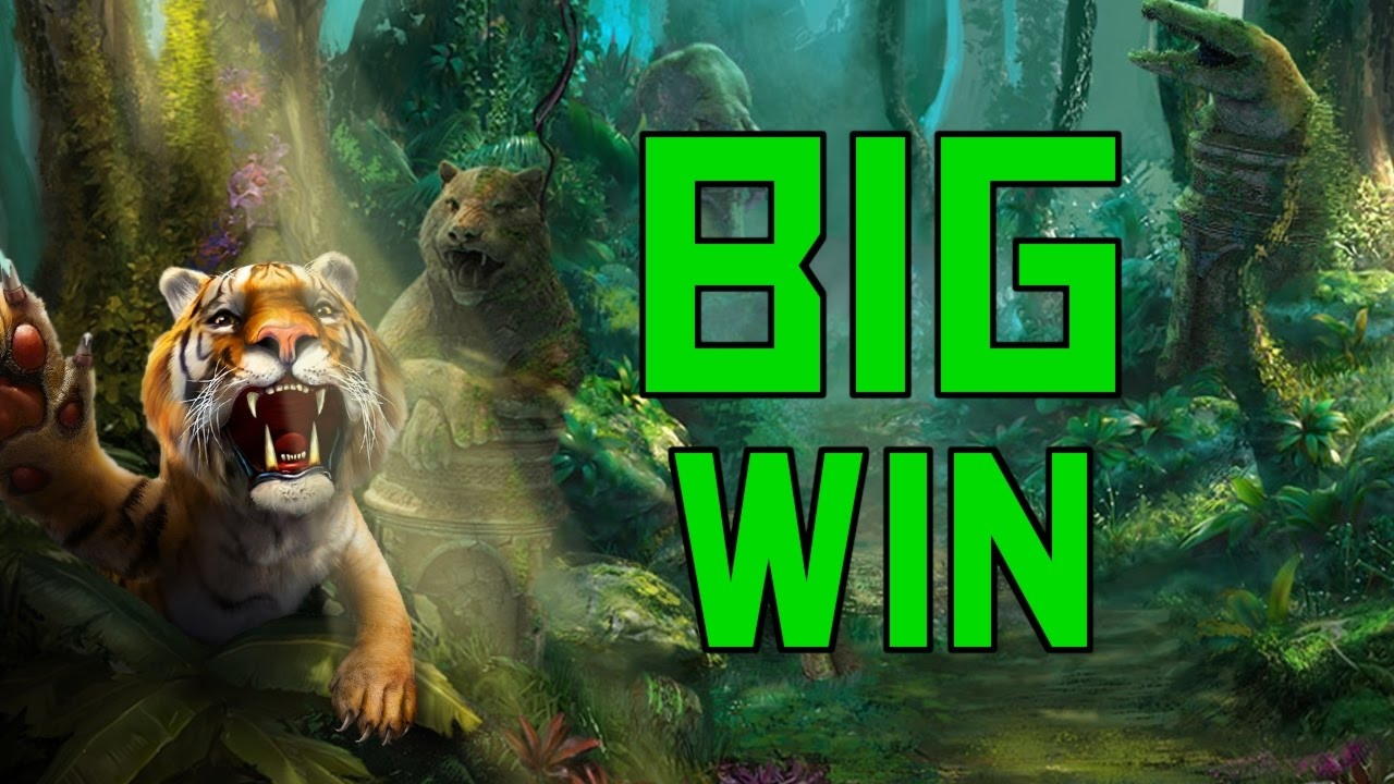 EUR 530 NO DEPOSIT at Leo Dubai Casino
