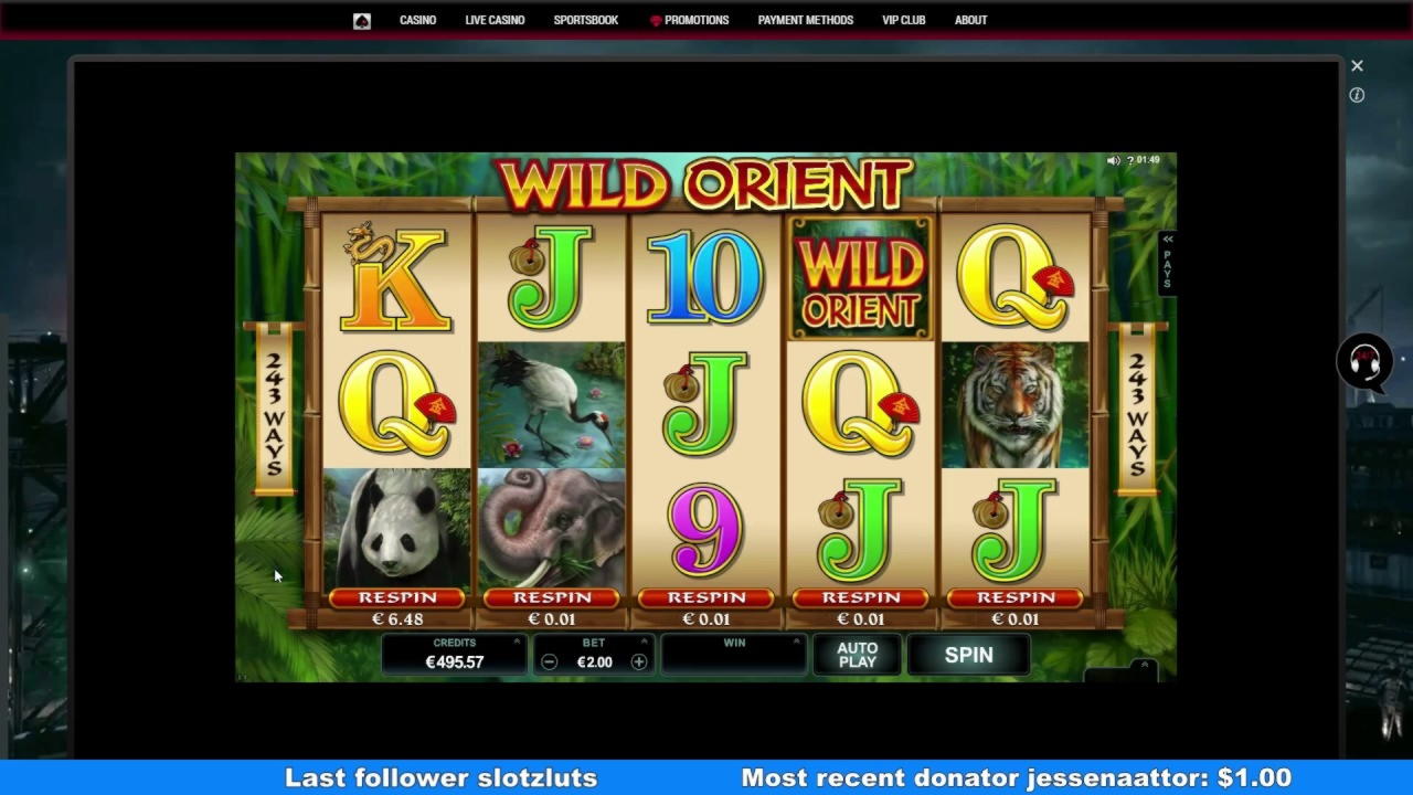 EUR 30 Casino tournaments freeroll at Leo Vegas Casino