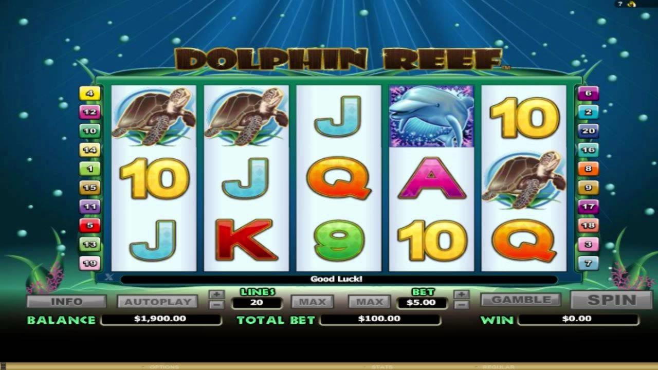 44 Free spins no deposit at Spinrider Casino