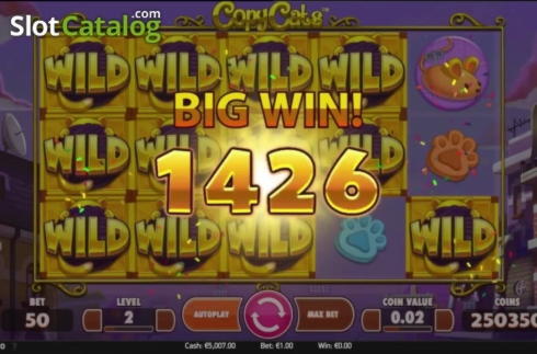 $1755 No deposit at Spinrider Casino