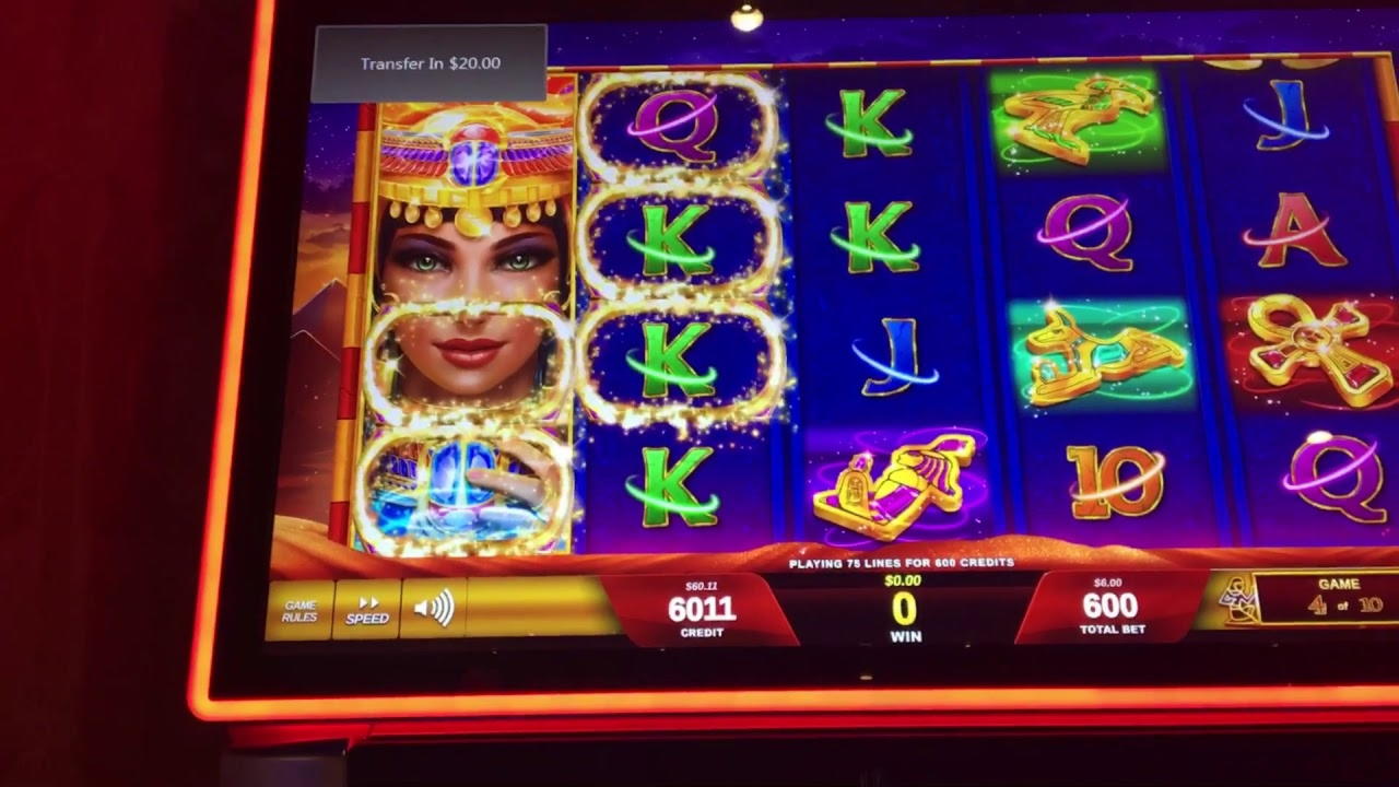 €1025 No Deposit Casino Bonus at Rizk Casino