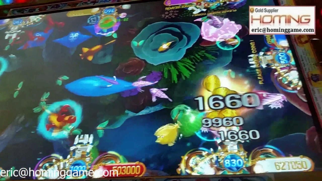 970% First Deposit Bonus at Rizk Casino