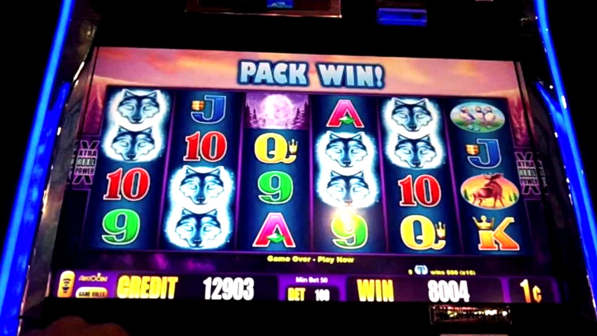 235 Free Spins no deposit casino at Rizk Casino