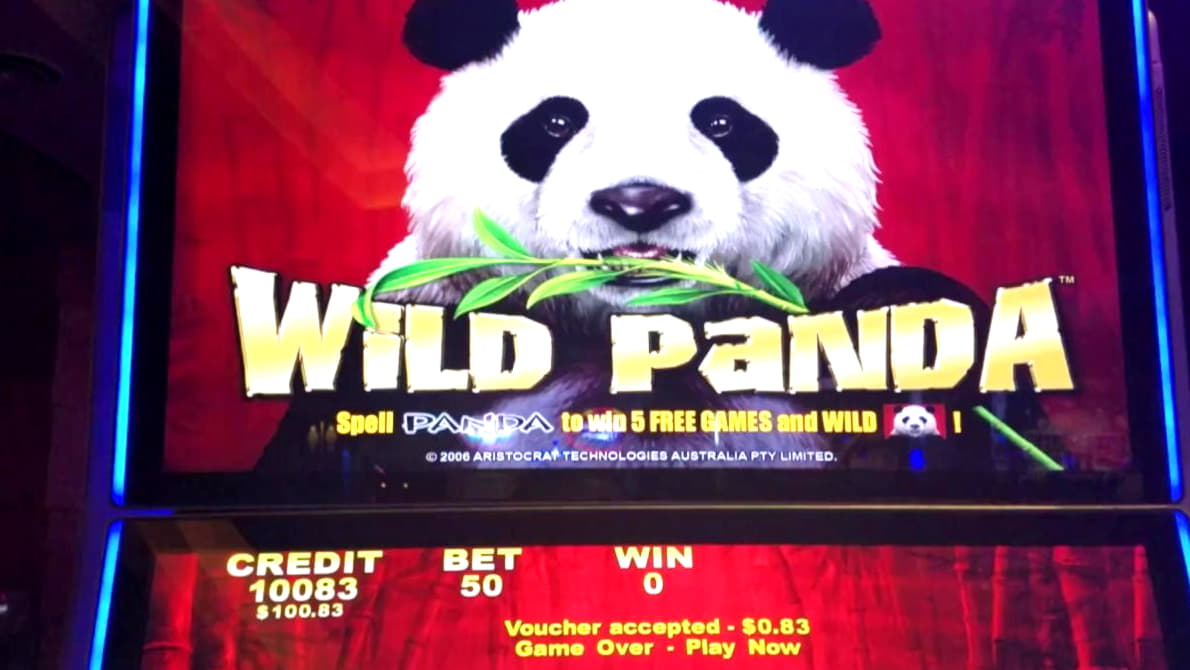 810% Deposit Match Bonus at Rizk Casino