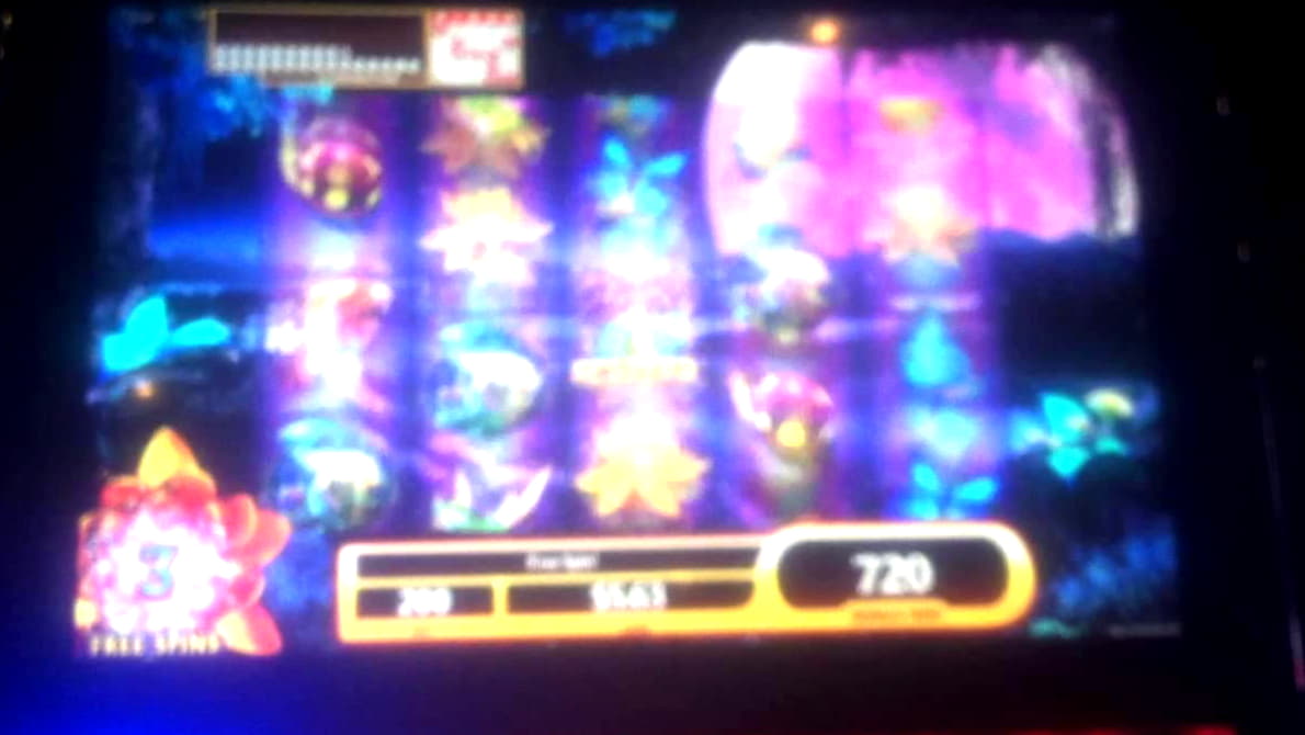 €2685 No Deposit Casino Bonus at Royal Panda Casino