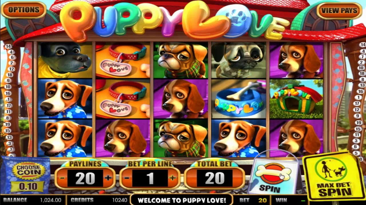 Eur 2485 No Deposit Bonus Casino at Spinrider Casino