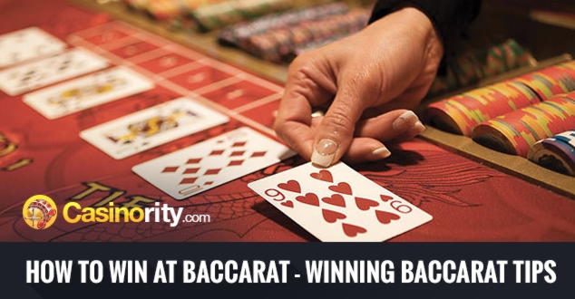 695% Match bonus at Rizk Casino