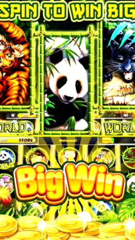 EUR 155 Free chip casino at Dunder Casino