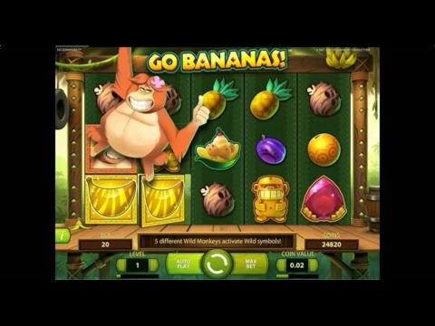 ﻿$2605 No deposit at Malina Casino