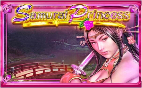 €215 Free casino chip at Dunder Casino