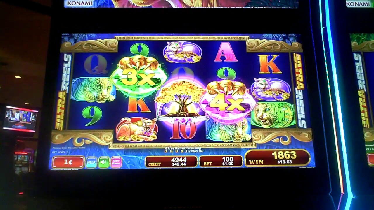 235% Match Bonus at Spinrider Casino