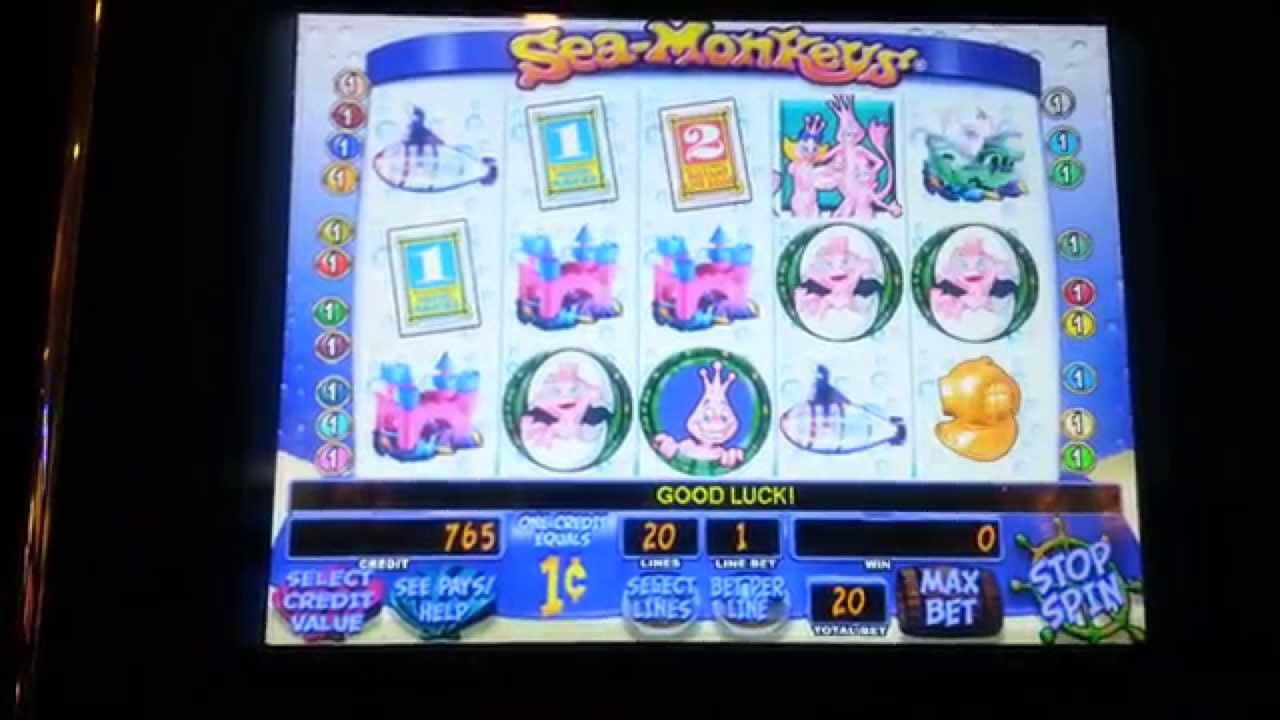 €270 Daily freeroll slot tournament at Leo Vegas Casino
