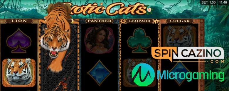 185 Free spins casino at Malina Casino