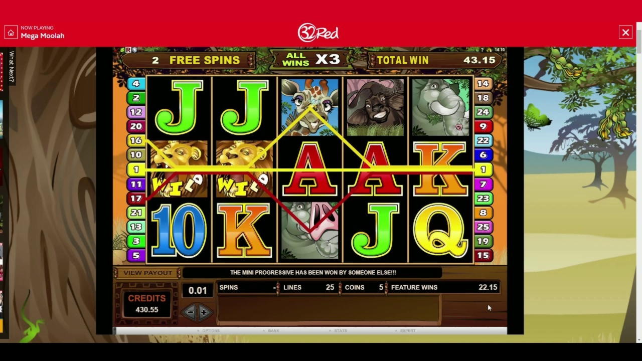 45% Welcome Bonus at Malina Casino