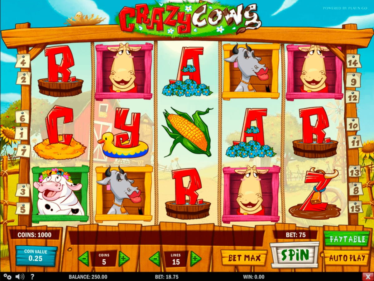 €820 Casino tournaments freeroll at Big Cash Casino