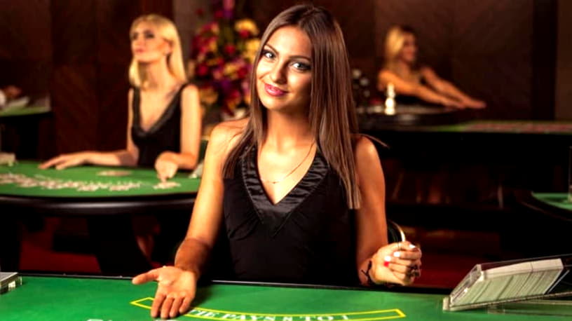 485% Signup Casino Bonus at Royal Panda Casino