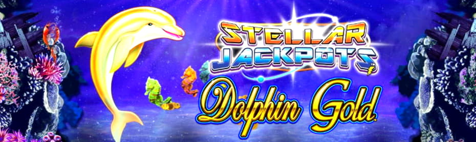 555% Casino match bonus at Rizk Casino