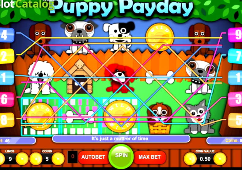 180 Loyal Free Spins! at Rizk Casino