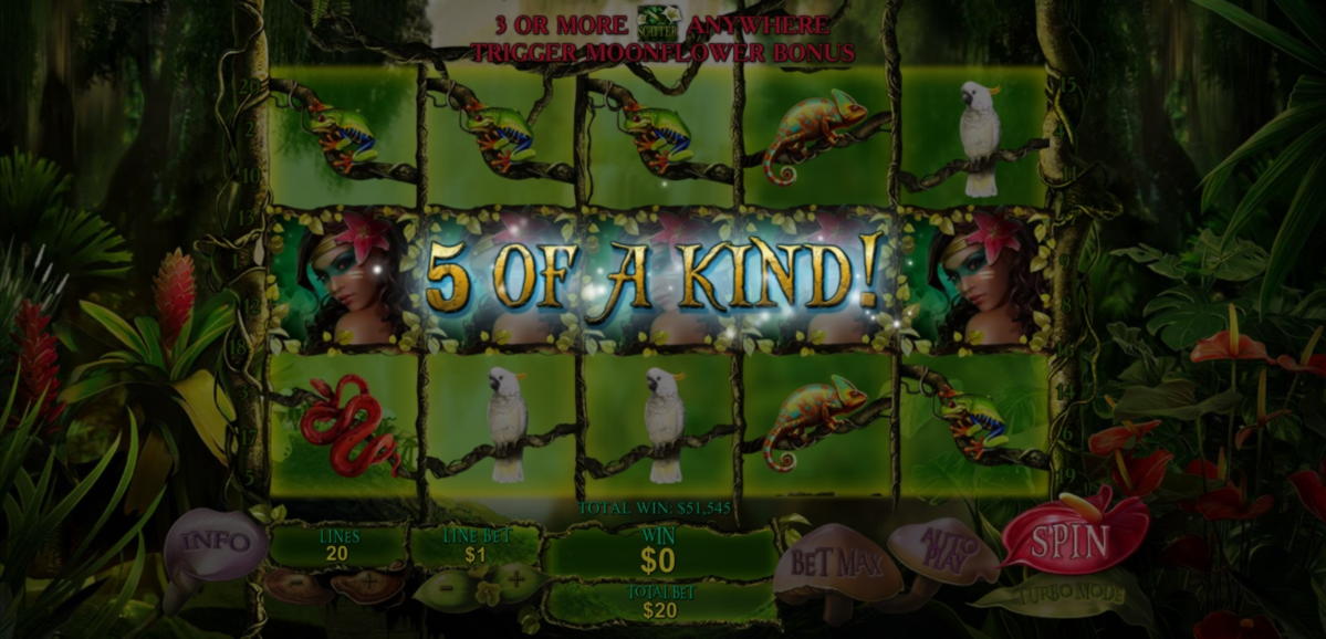 £815 Tournament at Royal Panda Casino