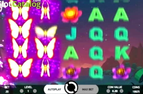 €555 Free Chip Casino at Leo Dubai Casino