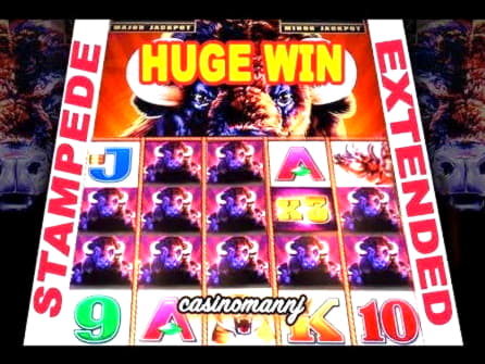 $765 Daily freeroll slot tournament at Royal Panda Casino