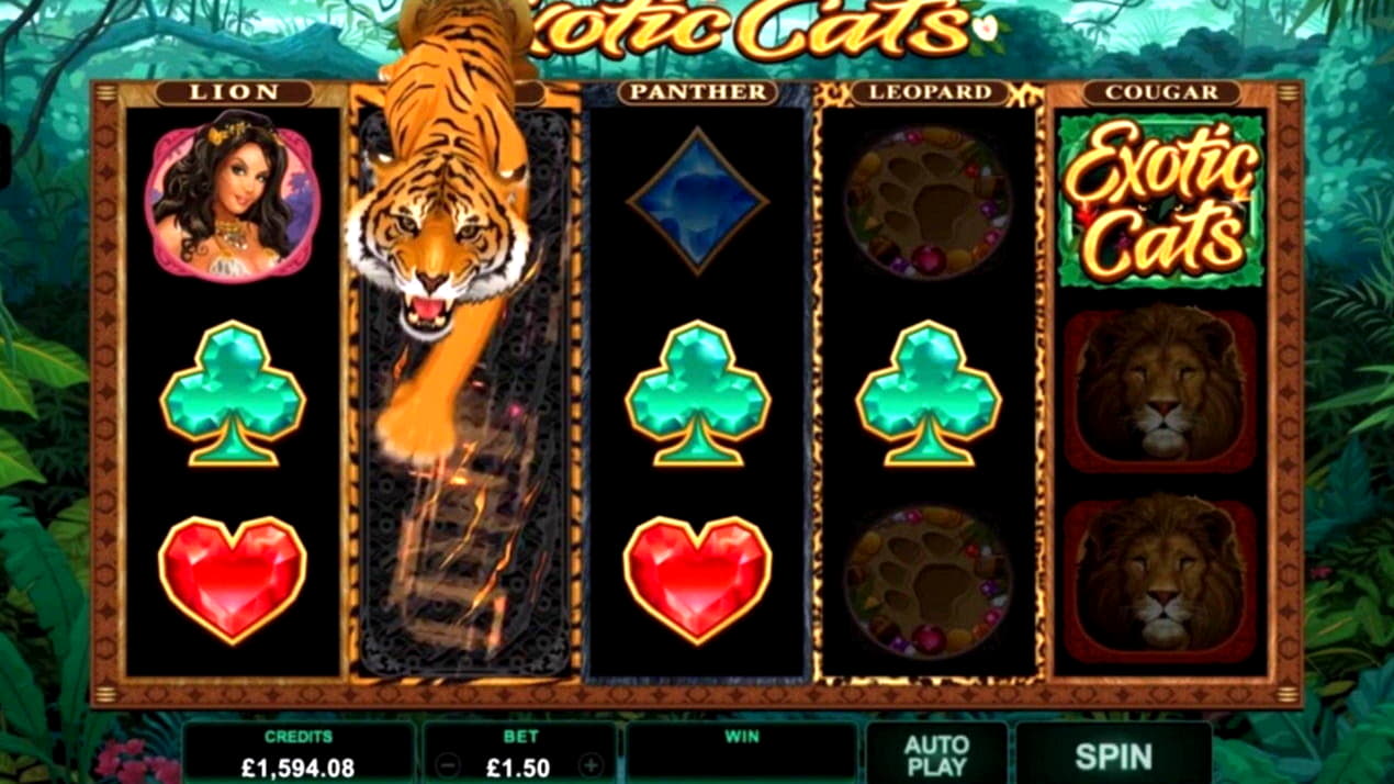 485% casino match bonus at Guts Casino