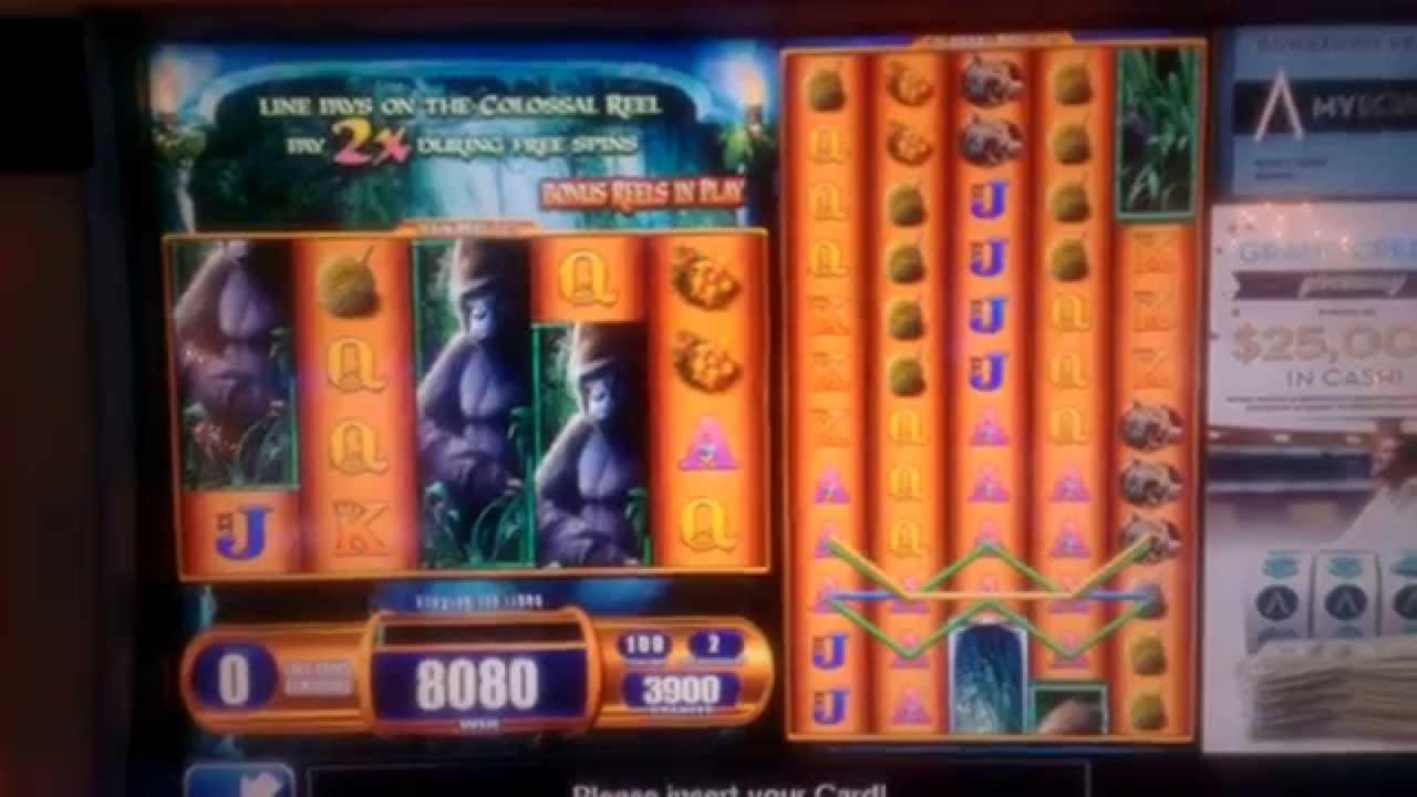 975% No Rules Bonus! at Kaboo Casino