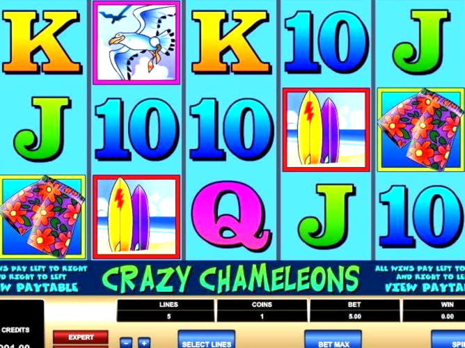 Eur 520 Daily freeroll slot tournament at Dunder Casino