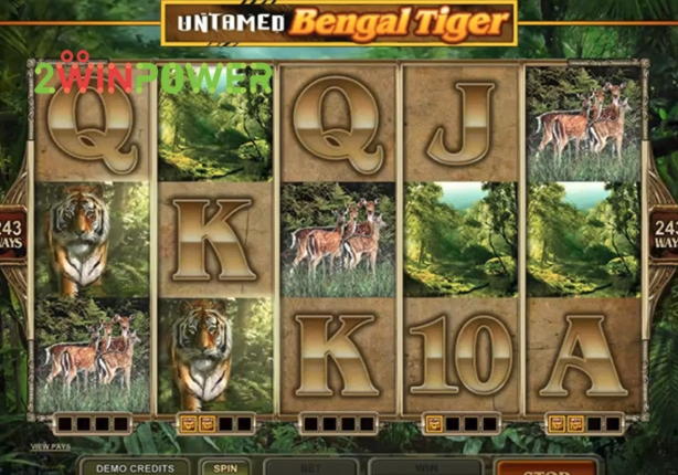 Eur 3960 No deposit bonus at Buran Casino