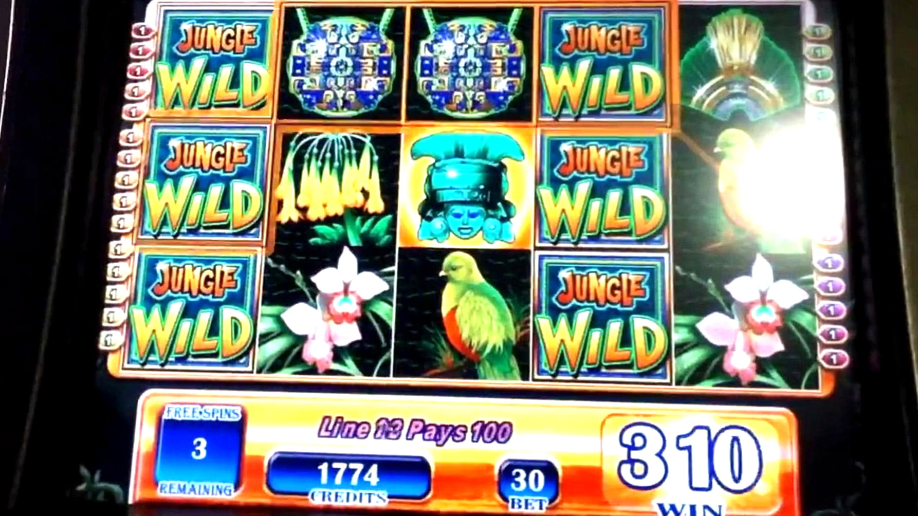 215 Loyal Free Spins! at YoYo Casino