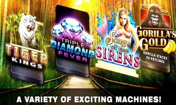 $250 Daily freeroll slot tournament at Leo Vegas Casino