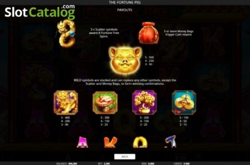 40 free spins casino at Big Cash Casino