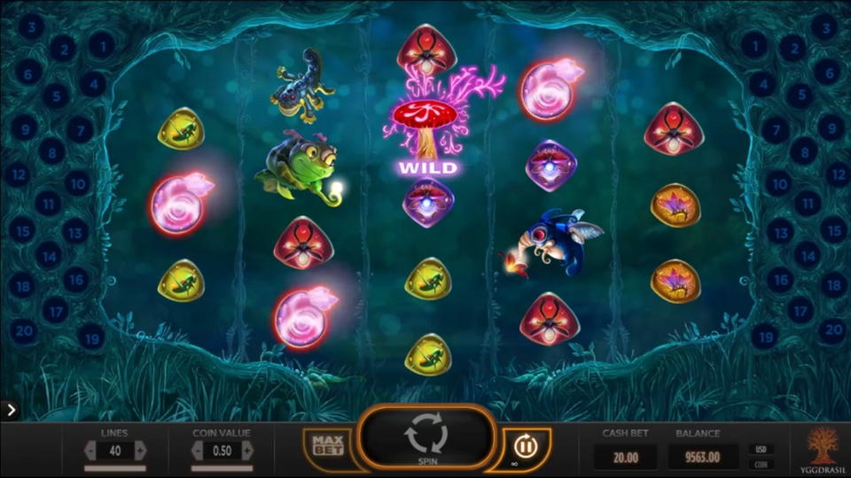 €725 no deposit at Dream Vegas Casino