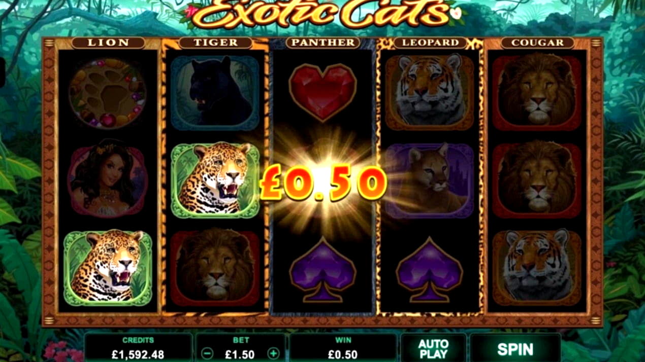 270 free spins at Big Cash Casino