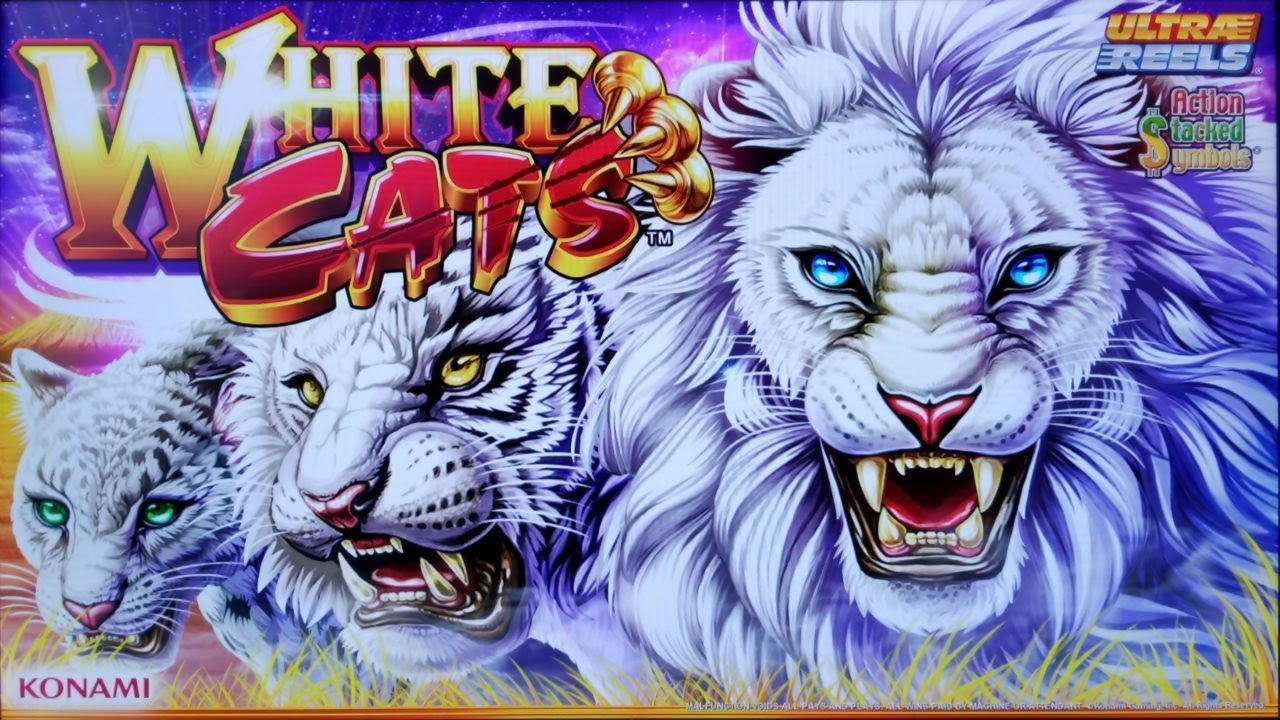 $2065 NO DEPOSIT BONUS at High Roller Casino