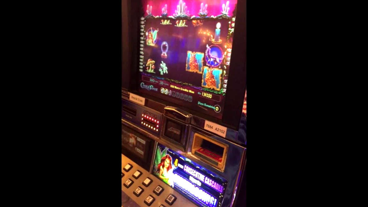$550 Tournament at Royal Panda Casino
