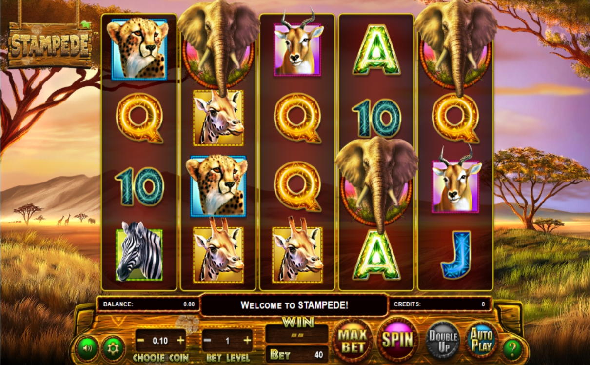 €3440 No deposit at Malina Casino