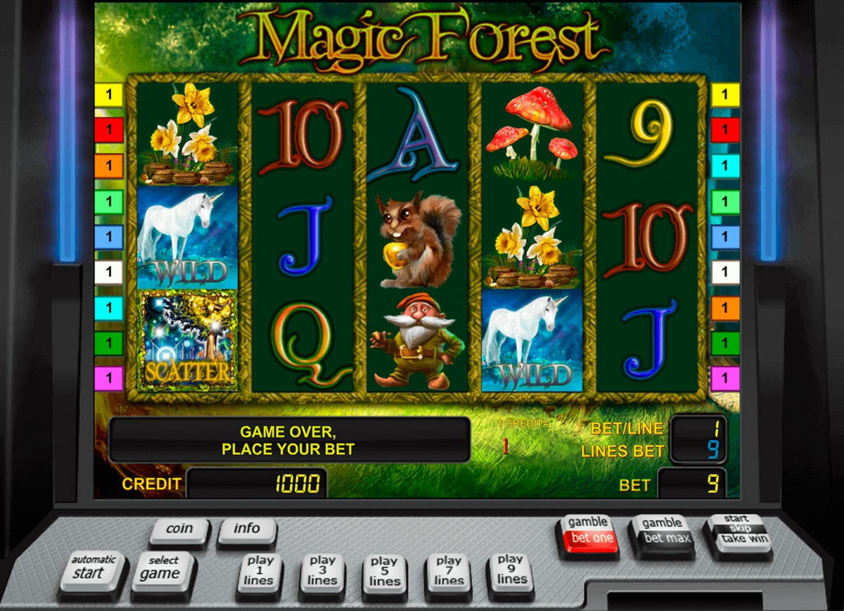 800% No Rules Bonus! at Slotty Dubai Casino