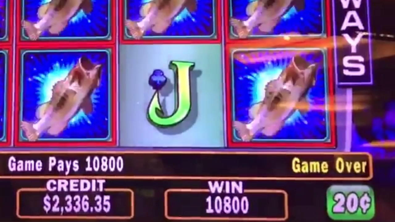 EURO 515 No Deposit Bonus at Energy Casino