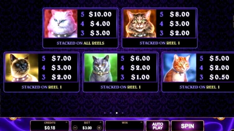 €425 Free chip at Dunder Casino