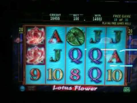 390% Match bonus casino at YoYo Casino