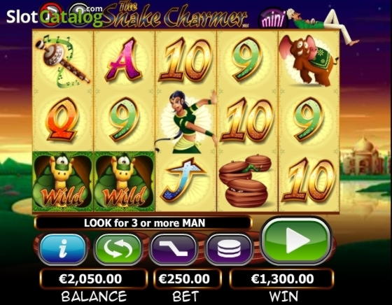 285 FREE Spins at Slotty Dubai Casino