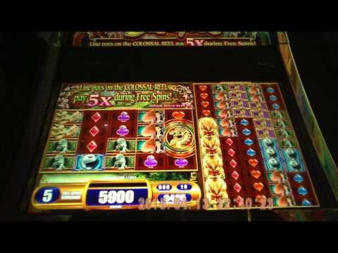 $330 No Deposit Bonus Casino at YoYo Casino