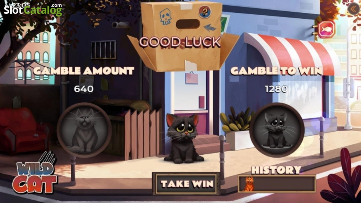 50 Free Spins right now at Dream Vegas Casino