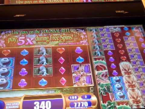 EURO 775 NO DEPOSIT BONUS at Dunder Casino