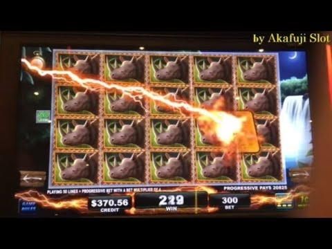 255% Match Bonus Casino at Rizk Casino